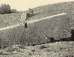 Baalbek im Libanon hier residierte einst der Gott Baal. "Der Stein des Südens" wird auf bis zu 2000 Tonnen Gewicht geschätzt.